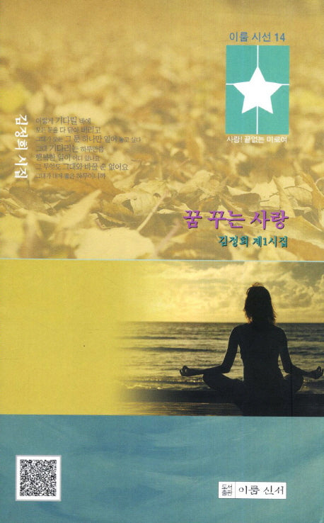 꿈 꾸는 사랑(이룸시선 14)