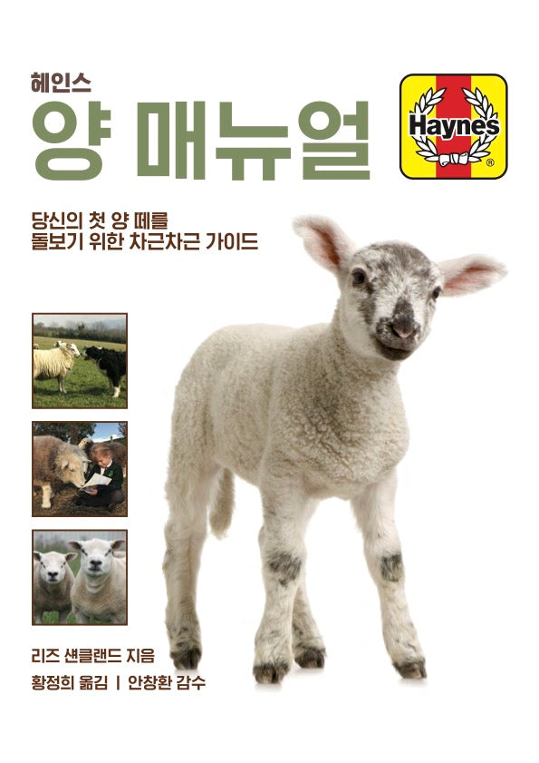 헤인스 양 매뉴얼(양장본 Hardcover)