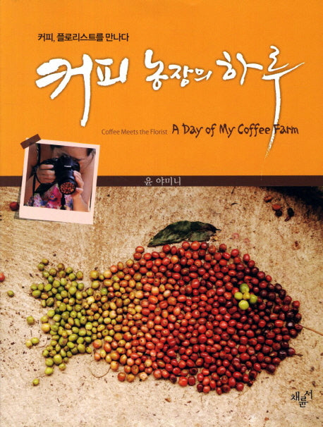 커피 농장의 하루