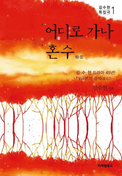 어디로 가나 혼수(김수현 특집극 1)