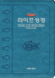 파워라이프성경(개역한글판)(특소)(청록)