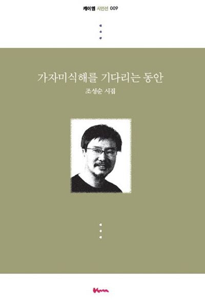 가자미식해를 기다리는 동안(케이엠 시인선 9)