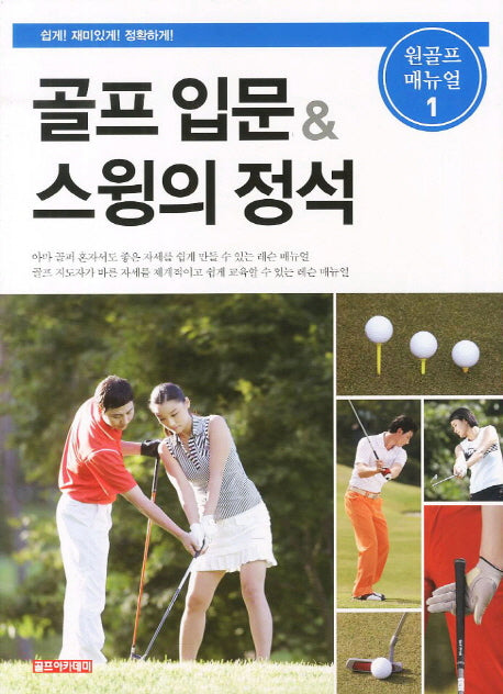 골프 입문 스윙의 정석(원골프 매뉴얼 1)