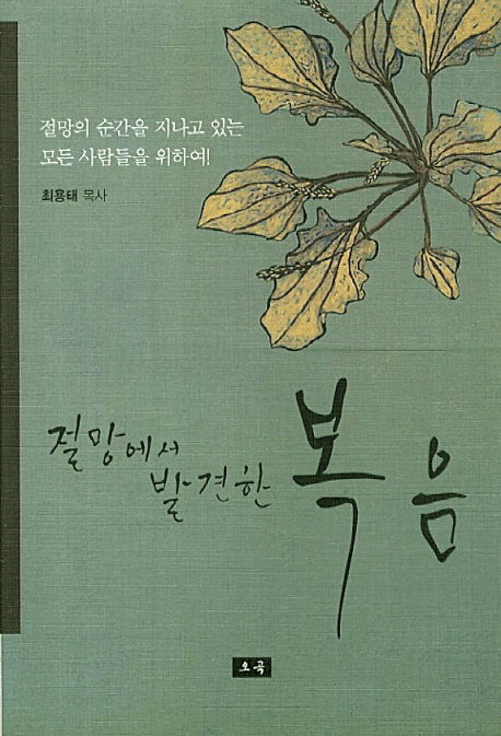 절망에서 발견한 복음