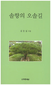 솔향의 오솔길