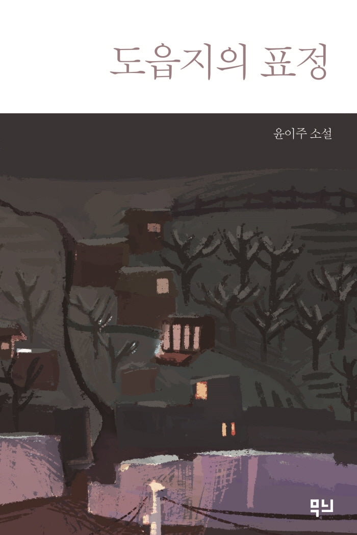 도읍지의 표정(양장본 Hardcover)