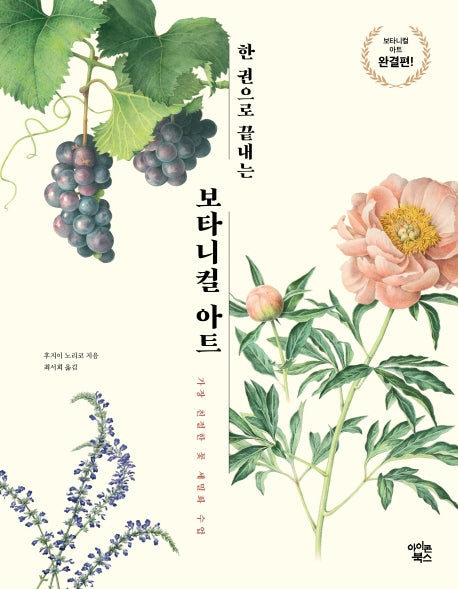 보타니컬 아트(한 권으로 끝내는)