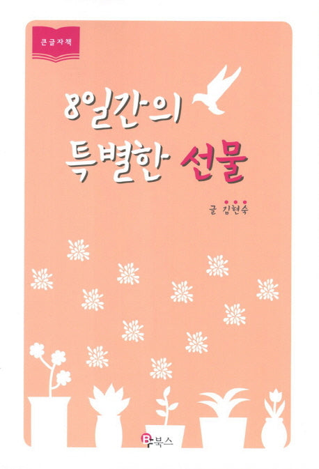 8일간의 특별한 선물(큰글자책)