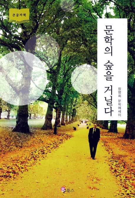 문학의 숲을 거닐다(큰글자책)