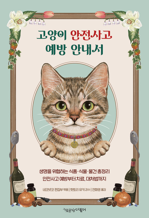 고양이 안전사고 예방 안내서