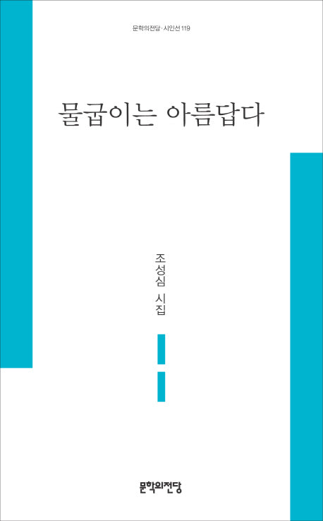 물굽이는 아름답다(문학의전당 시인선 119)