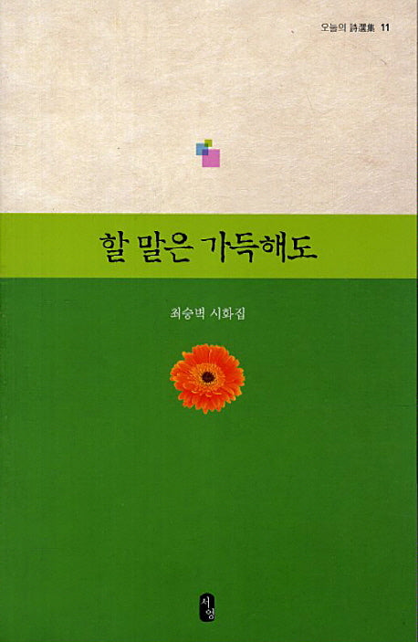 할 말은 가득해도(오늘의 시선집 11)