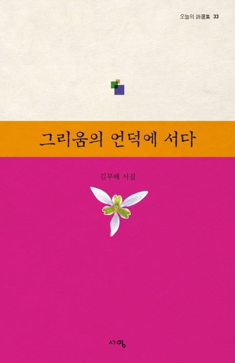 그리움의 언덕에 서다(오늘의 시선집 33)
