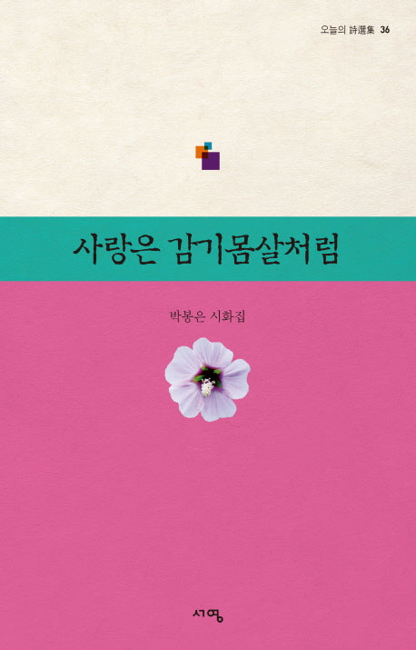 사랑은 감기몸살처럼(오늘의 시선집 36)