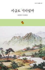 지금도 기다릴까(오늘의 시선집 41)