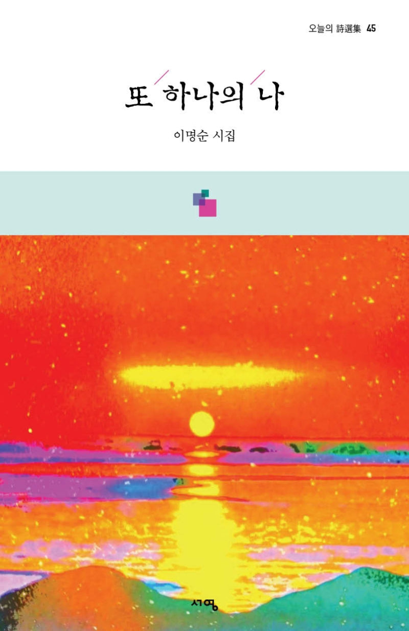또 하나의 나(오늘의 시선집 45)