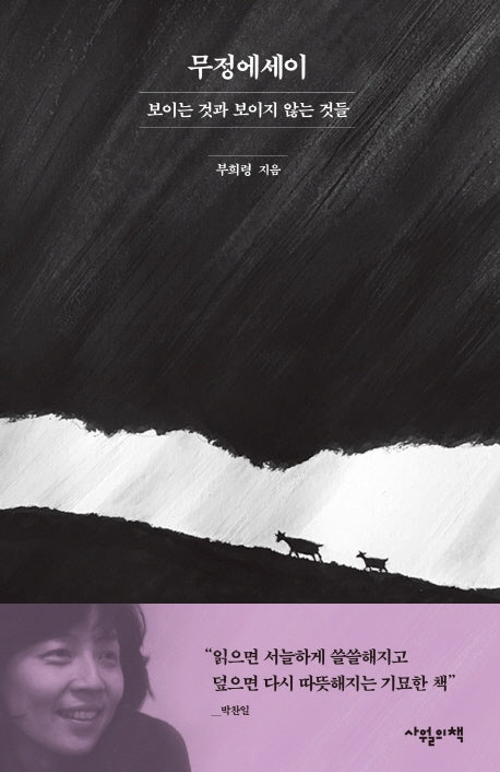 무정에세이