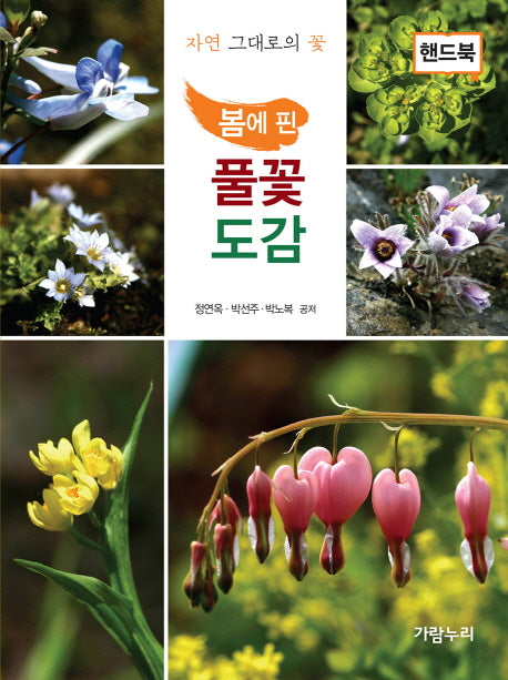 풀꽃도감(핸드북)(봄에 핀)
