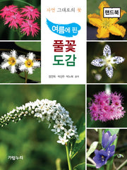 풀꽃도감(핸드북)(여름에 핀)