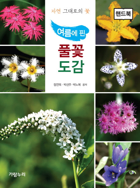 풀꽃도감(핸드북)(여름에 핀)