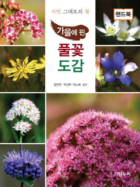 가을에 핀 풀꽃도감(핸드북)