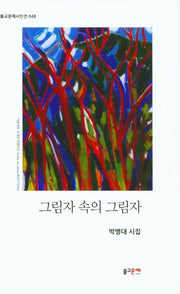 그림자 속의 그림자(불교문예시인선 48)