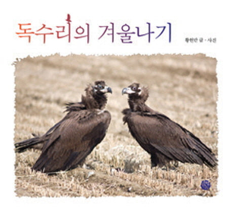 독수리의 겨울나기(어린이를 위한 사진 동화)(양장본 HardCover)