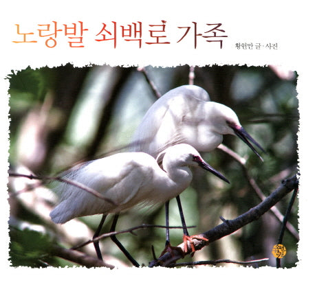 노랑발 쇠백로 가족(어린이를 위한 사진 동화)