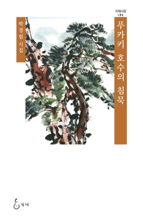 푸카키 호수의 침묵(지혜사랑 시인선 71)(양장본 HardCover)