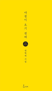 아침이 오기 전에(지혜사랑 시인선 102)
