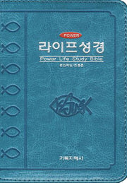 파워라이프성경(미니)(청록)(개역한글판)