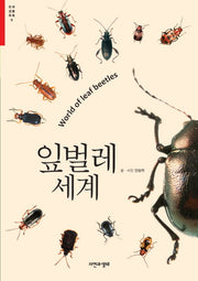 잎벌레 세계(한국 생물 목록 8)