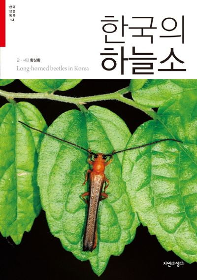 한국의 하늘소(한국생물목록시리즈 14)