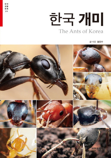 한국 개미(한국 생물 목록 24)