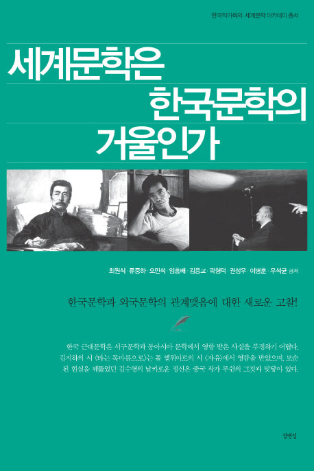 세계문학은 한국문학의 거울인가(한국작가회의 세계문학 아카데미 총서)