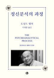 정신분석의 과정
