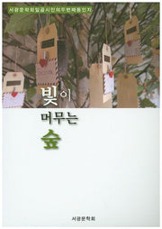 빛이 머무는 숲