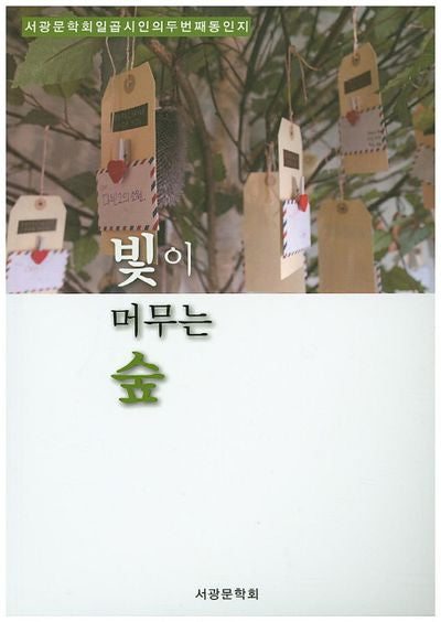 빛이 머무는 숲