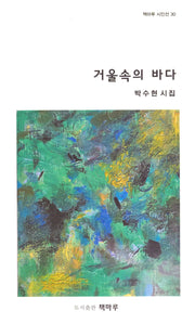 거울속의 바다(책마루 시인선 30)