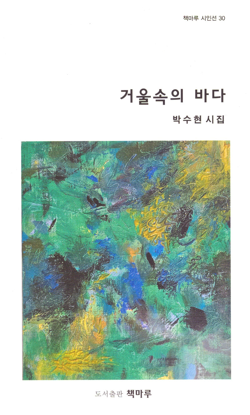 거울속의 바다(책마루 시인선 30)