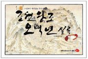 조선왕조 오백년 실록