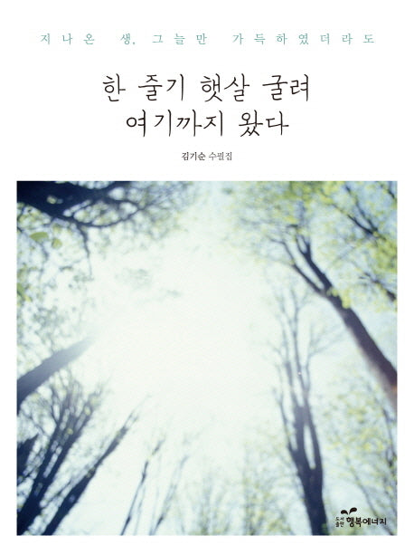 한 줄기 햇살 굴려 여기까지 왔다