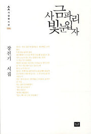 사금파리빛눈입자(사십편시선 6)