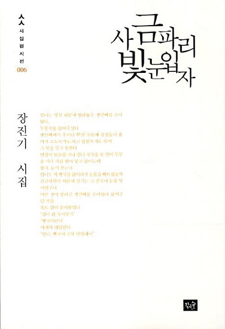 사금파리빛눈입자(사십편시선 6)