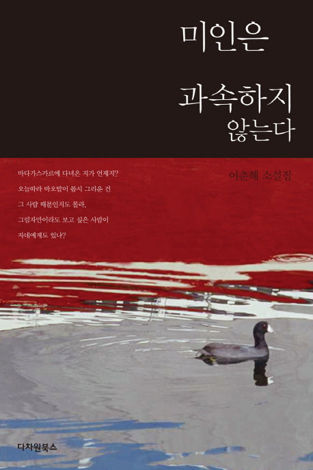 미인은 과속하지 않는다