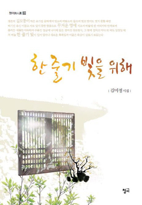 한 줄기 빛을 위해(청어시인선 96)