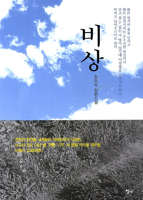 비상