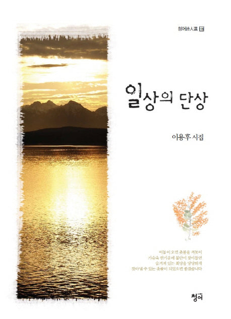 일상의 단상(청어시인선 116)