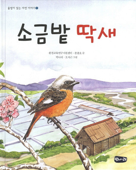 소금밭 딱새(울림이 있는 자연 이야기 1)(양장본 Hardcover)