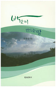바람이 만드는 땅